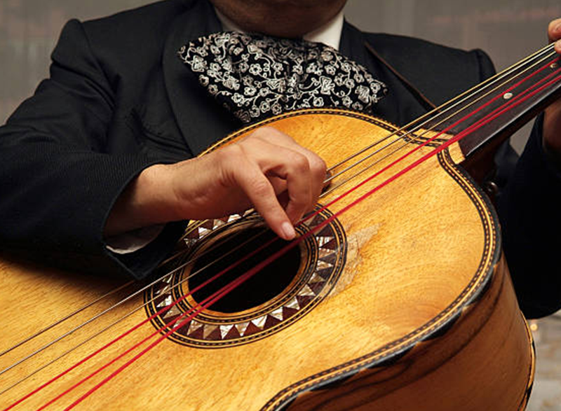 24 años de experiencia